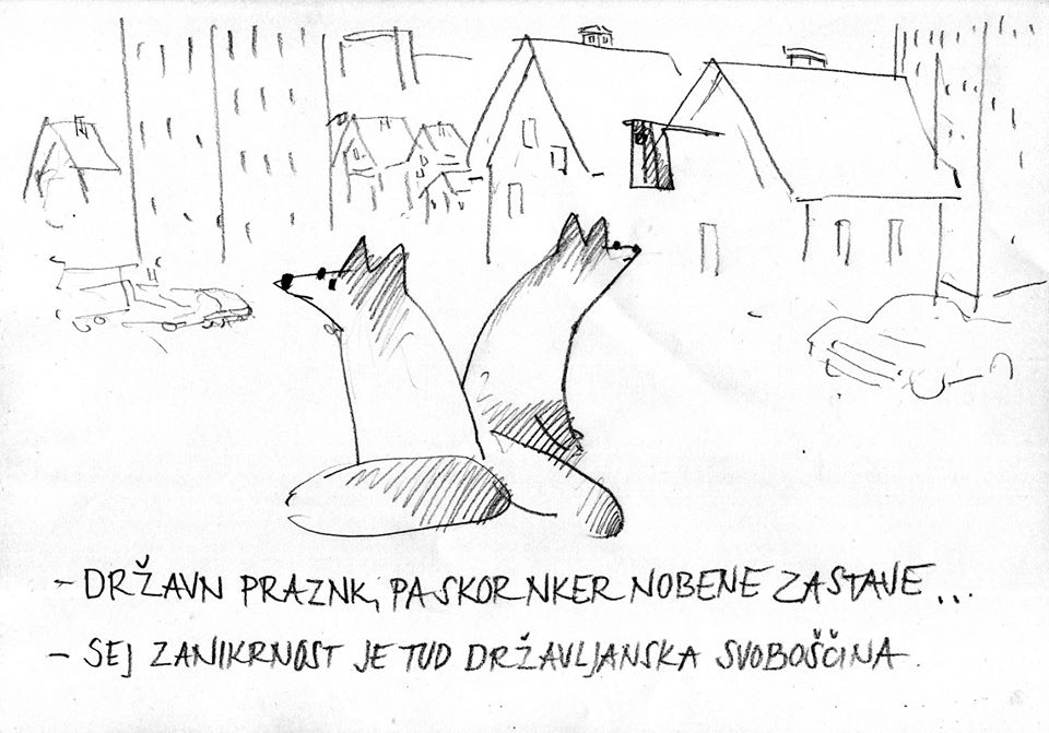 106078135 2998940356879692 5176096313320193221 o