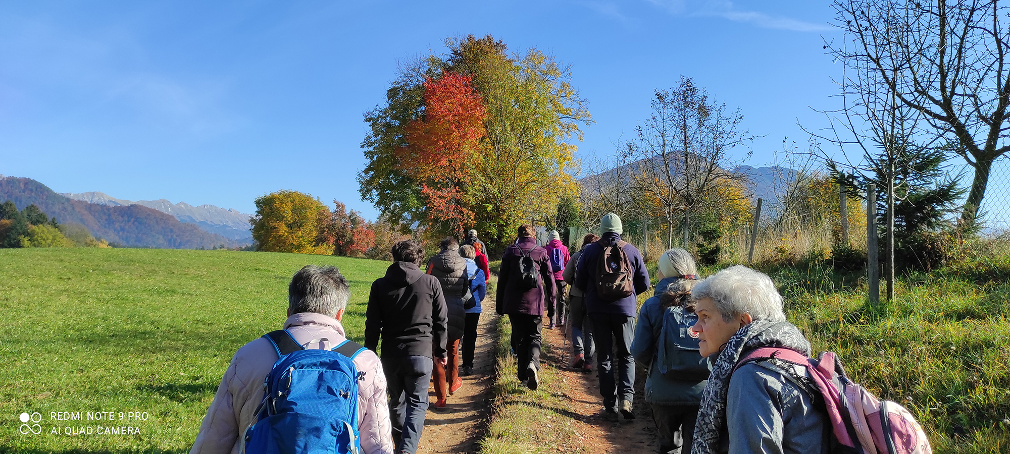 za spletno stran mala